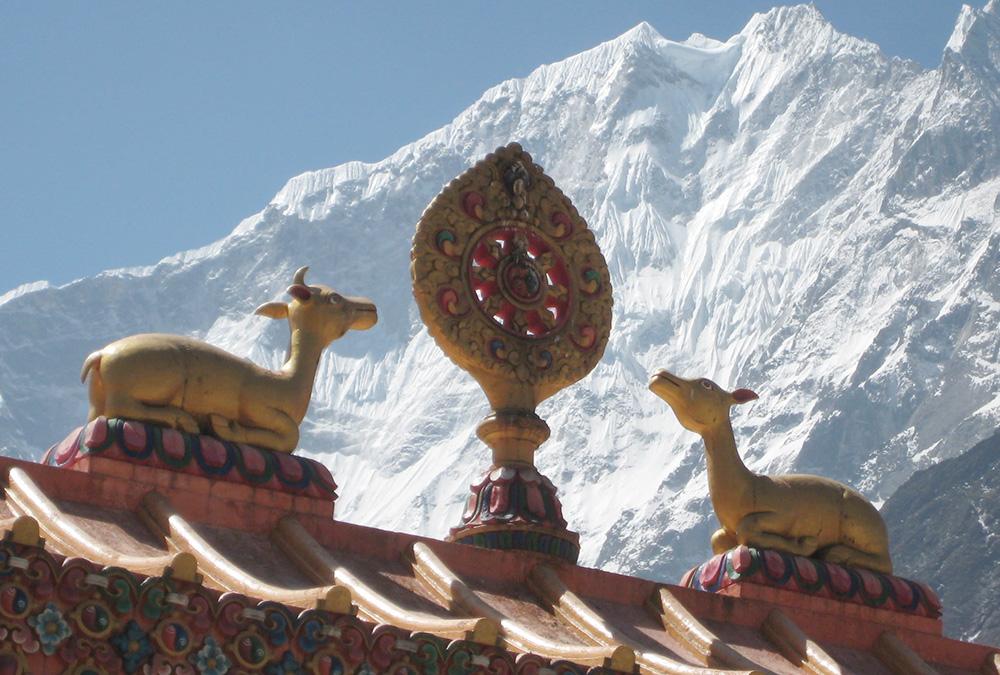 ​  15,000-year-old viruses discovered in Tibet