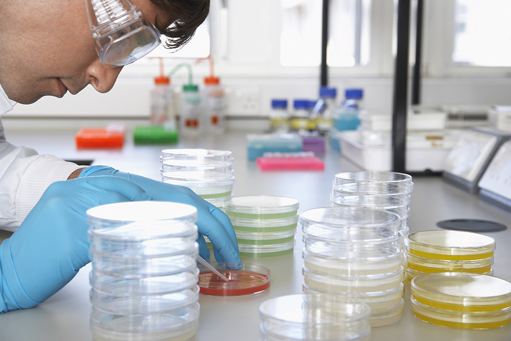 ​  Experimental drug shows promise against Alzheimer's disease