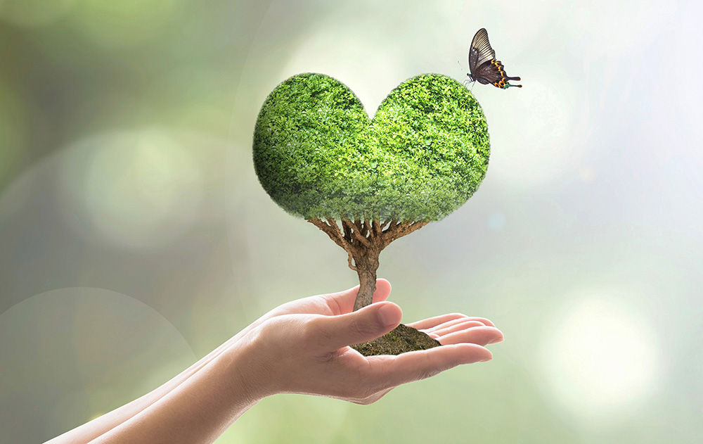 ​  Get growing this National Arbor Day