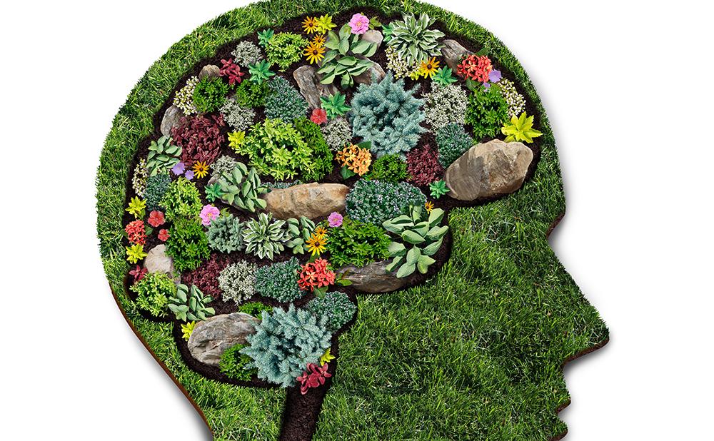 ​  Grow a better attitude this Spring!