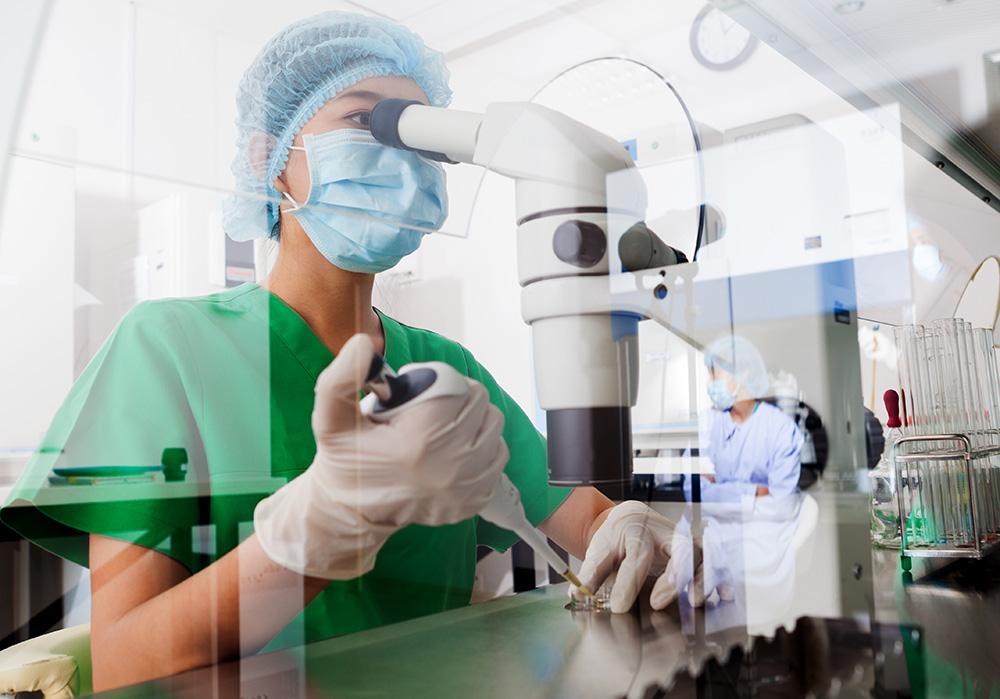 ​  How the body fights back against cancer