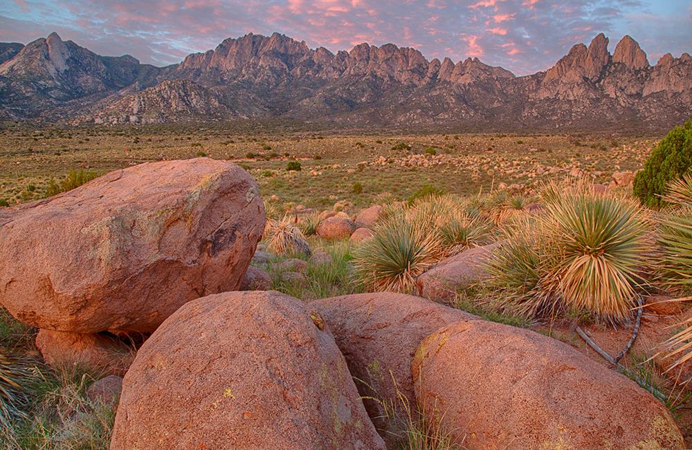 ​  National New Mexico Day 