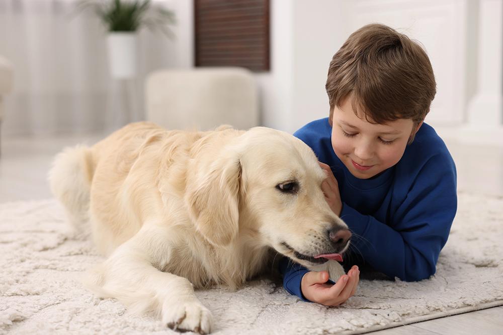 ​  Pets become child’s best friend researchers find