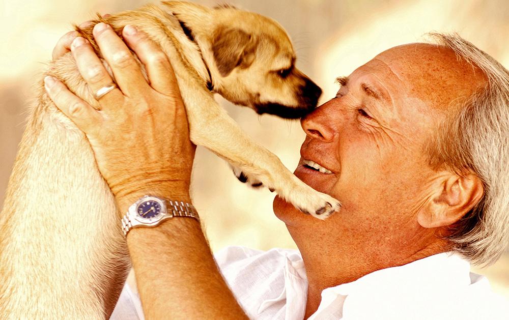  National Make a Dog’s Day