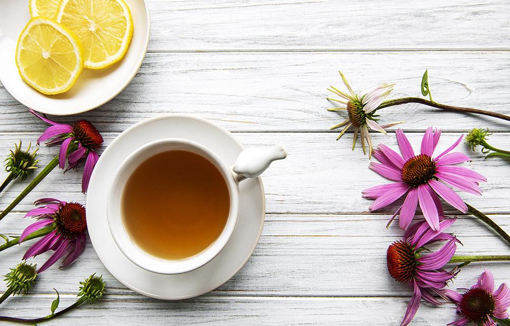 Does Echinacea really help avoid colds?