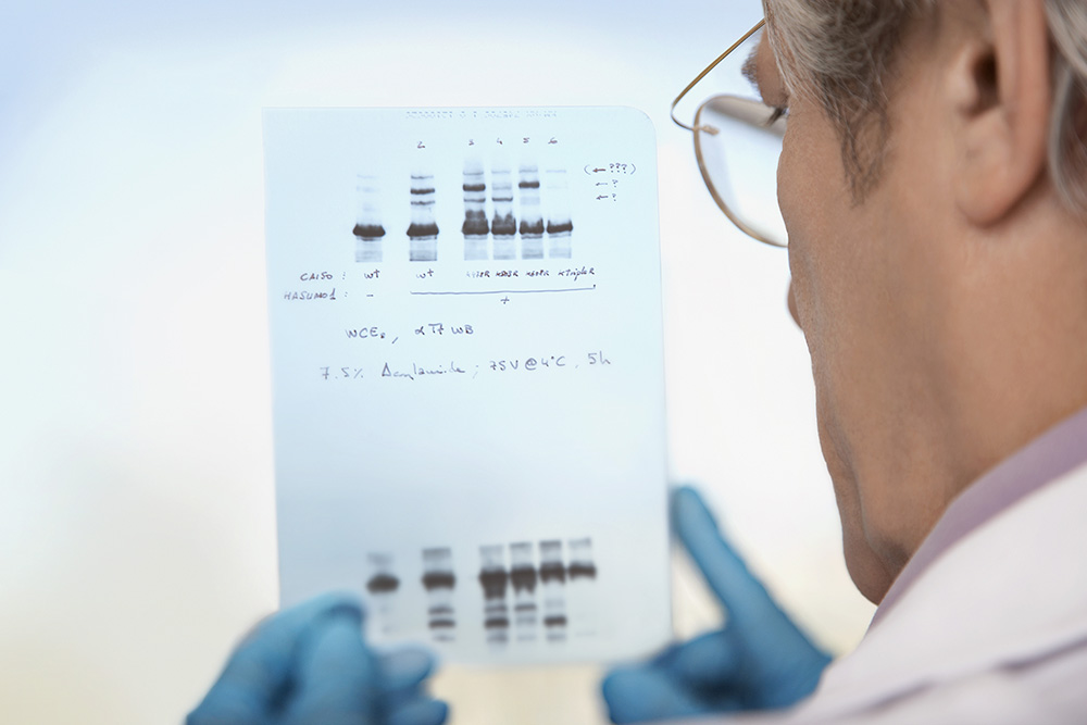 Electromagnetic fields treat diabetes