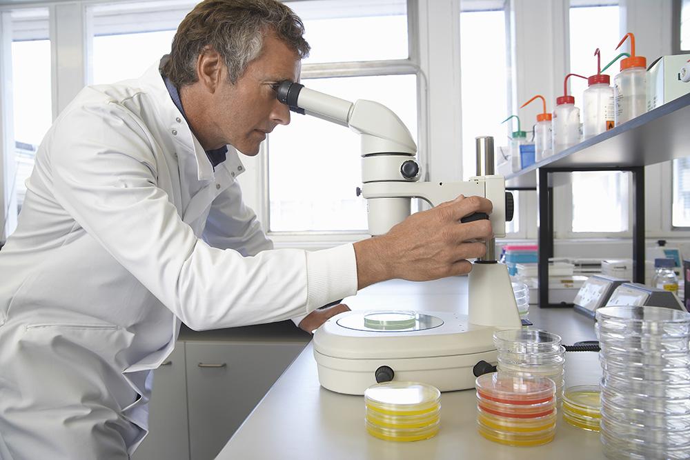 Experimental cancer therapy shows success 