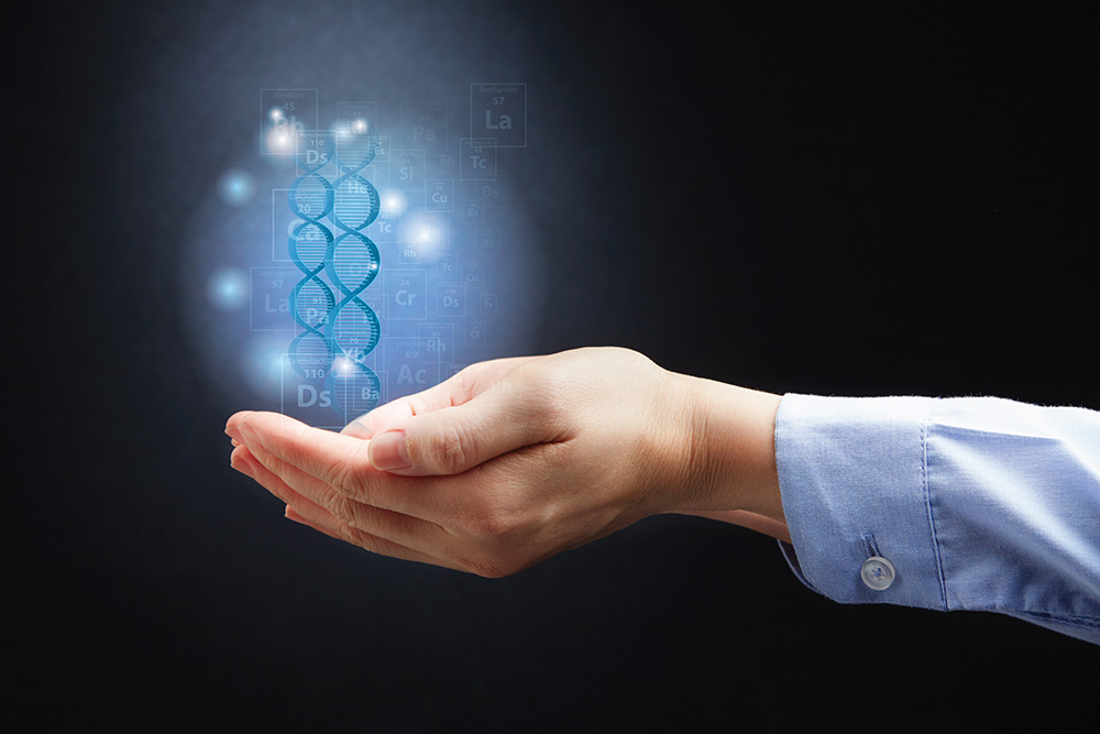 'Fat burning' molecule has implications for treatment of obesity