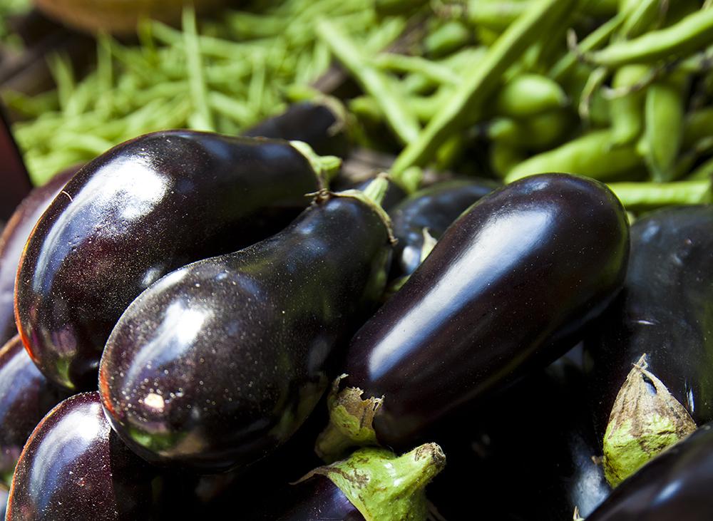 Grilled Eggplant for dinner