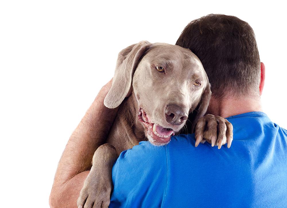 Health Benefits of Human-Animal Interactions