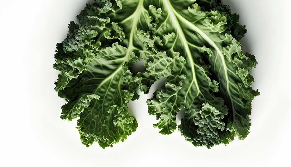 Foods That Reduce Breast Cancer Risk