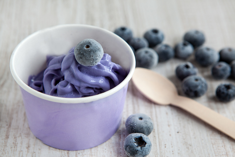 Homemade Frozen Yogurt