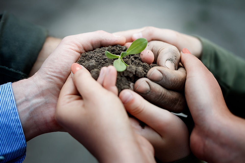 ​  Cómo alimentar la esperanza