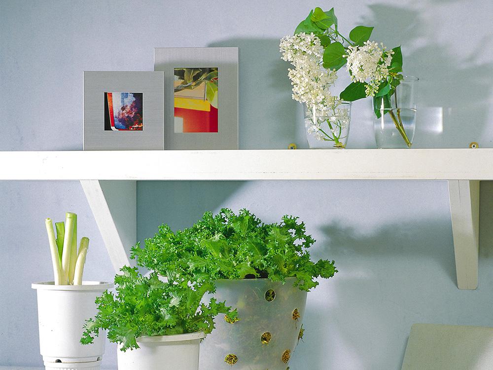 Know thy ‘shelf’