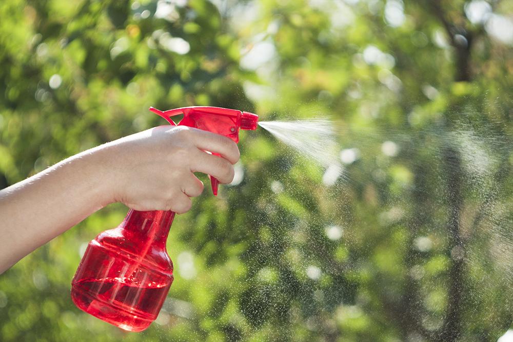 Make A Natural Fly Repellent