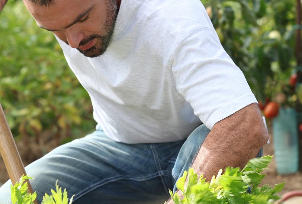 National Gardening Day