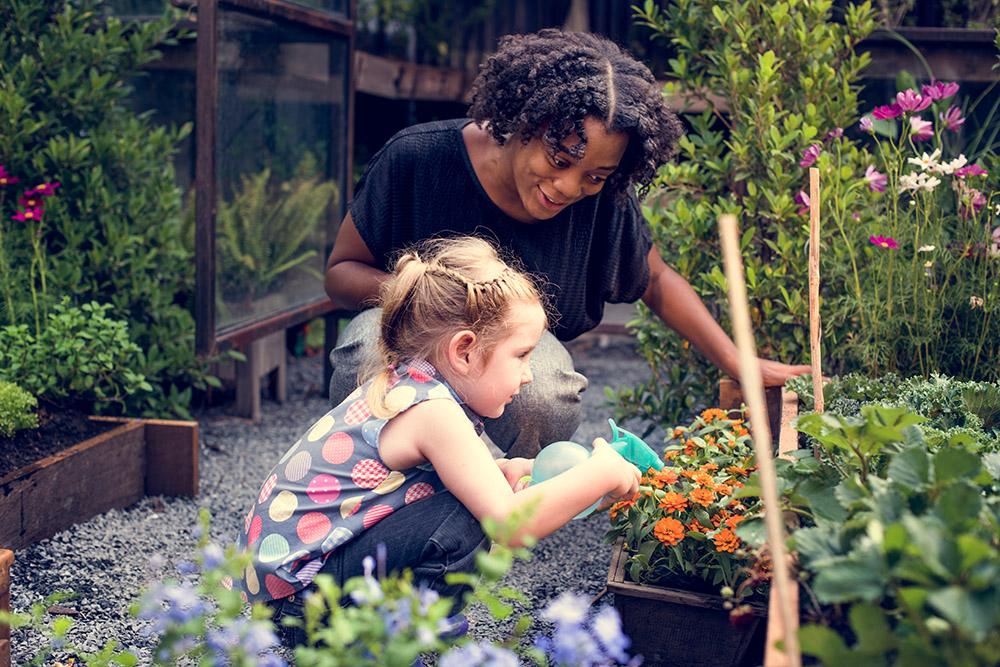 National Water a flower day