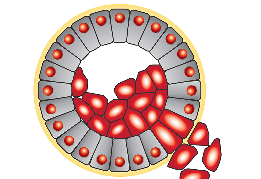 New 'molecular computers' find the right cells