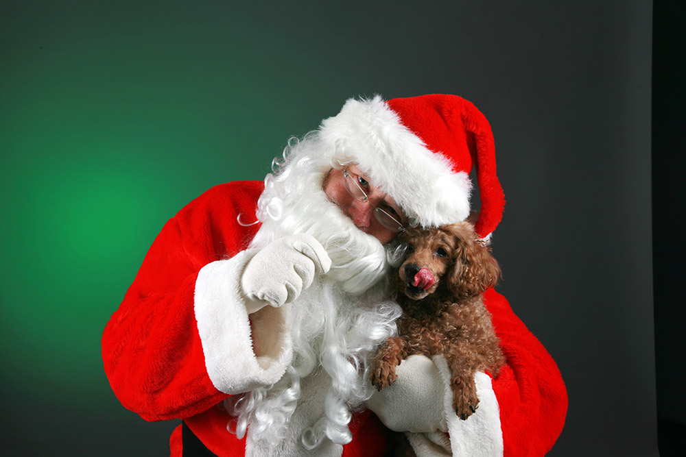 Pet Photos with Santa
