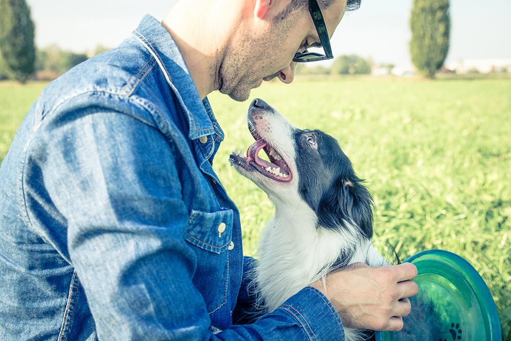 Pets enhance our emotional health