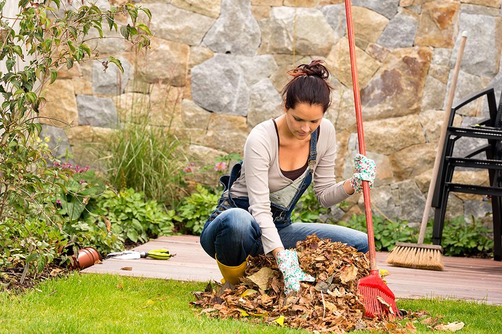 Raking leaves racks up calories burned