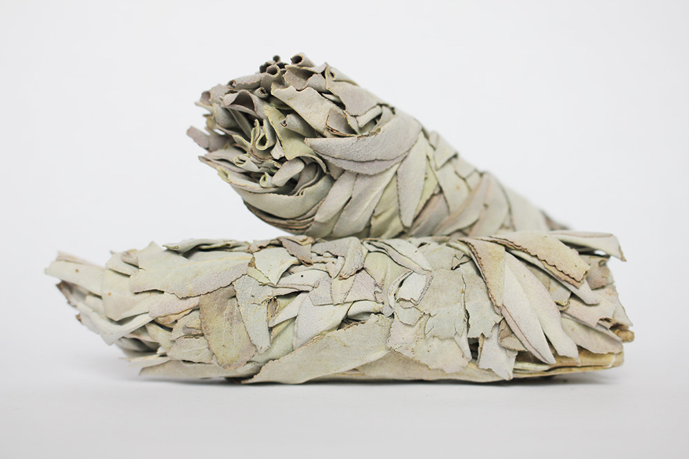 Sage for better respiratory health