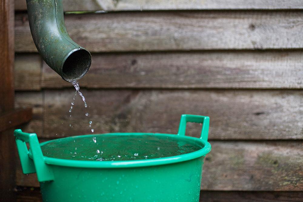 Save some rainwater for a sunny day