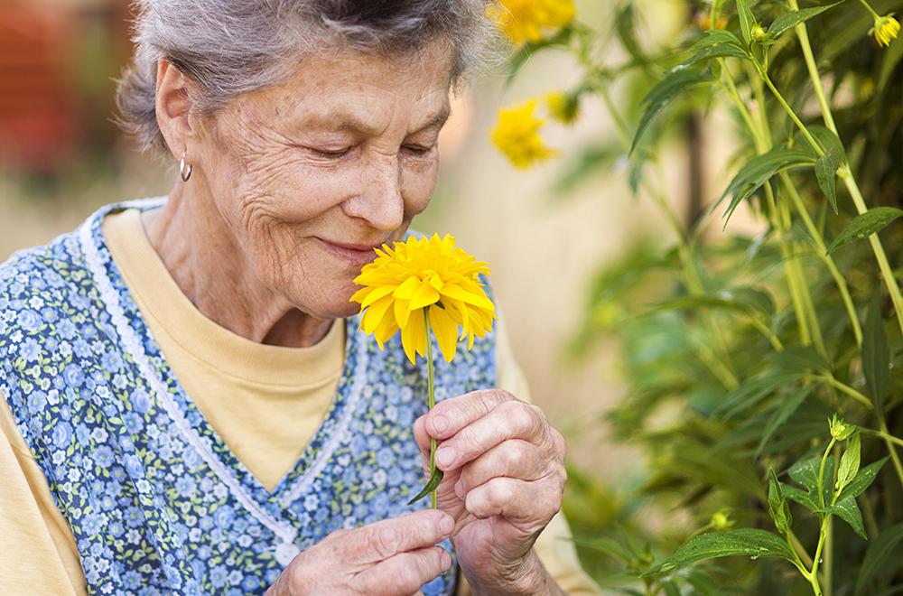 Simple fragrance method produces major memory boost