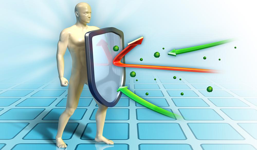 What fuels the 'natural killers' of the immune system